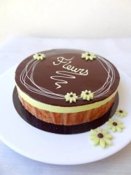 Entremets chocolat pistache