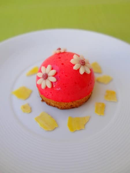 Dômes aux fruits rouges Dômes aux fruits rouges