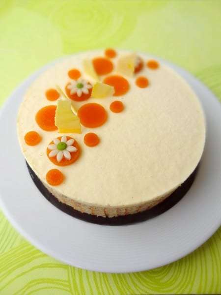 Entremets praliné abricot et chocolat blanc